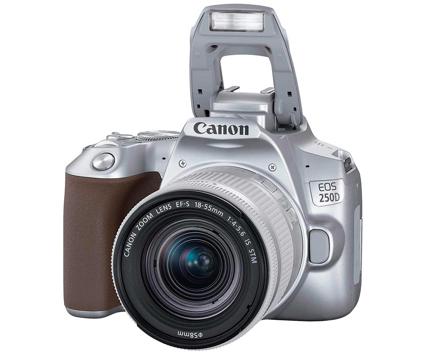 Canon EOS 250D Silver + Objetivo Zoom EF-S18-55mm f/3.5-5.6 III / Cámara réflex